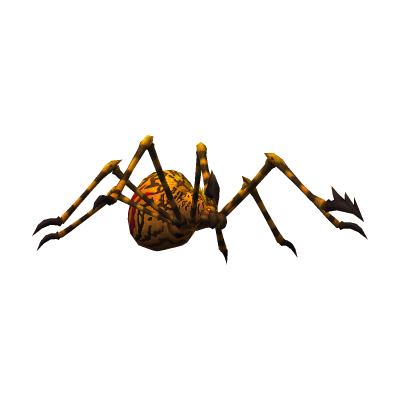 Araignée léopard des ténèbres
