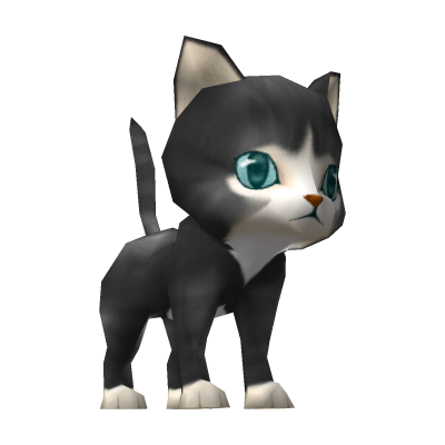 Kitty