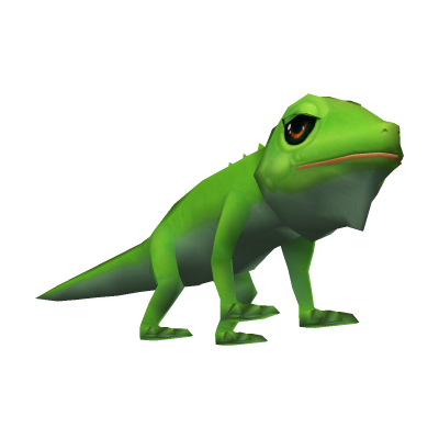 Bébé Iguane