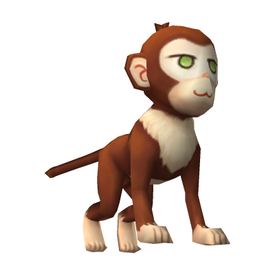 Baby Monkey