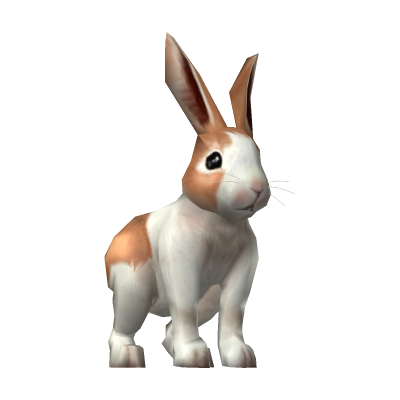 Rabbit