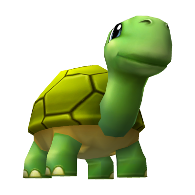 Tortue