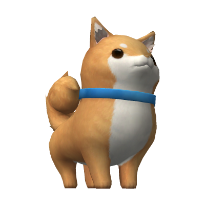 Shiba