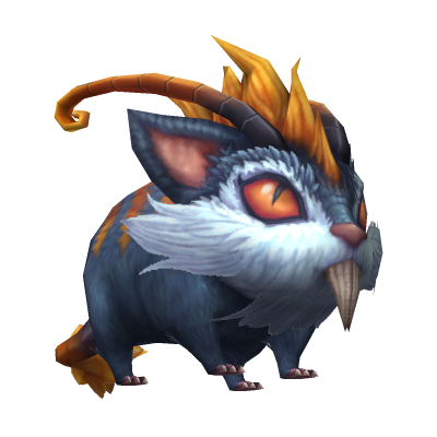Rat musqué infernal